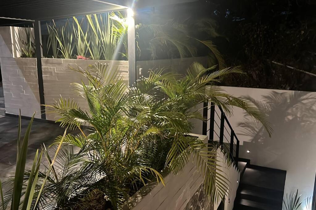 Residencia Corinto La Cima Frac Burgos Bugambilias Villa Temixco Esterno foto